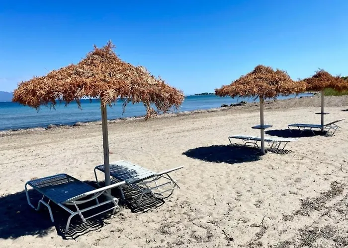 Alexandra 11 Lefkimmi (Corfu)