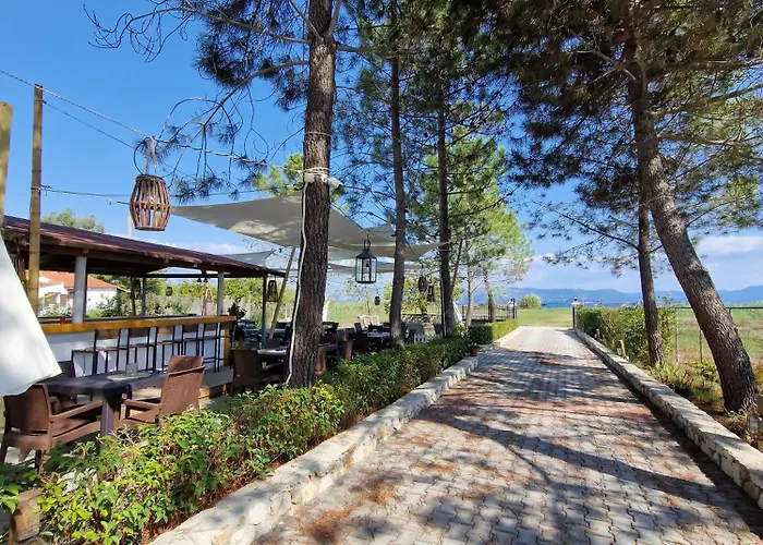 Daire Alexandra 11 *