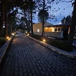 Alexandra 11 *